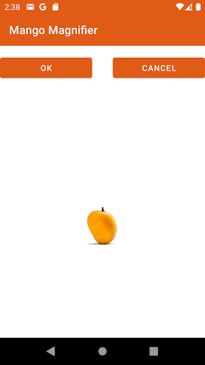 Mango Magnifier Screen 3