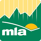 MLA Market Information icon