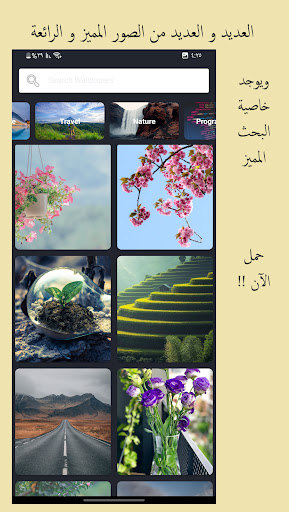 High resolution wallpapers 4K