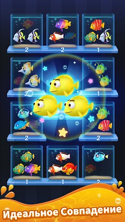 Game screenshot Сортировка рыбы 3D apk download