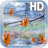 Autumn Raindrops Live HD icon