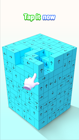 Game screenshot Tap it 3D：Tap Away Block apk download