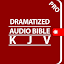 Dramatized Audio Bible -  Pro