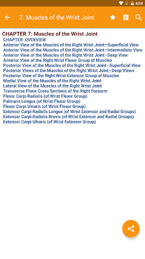 Screenshot of The Muscular System Manual