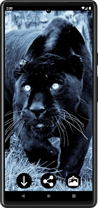 Imágen 6 Fondos de panteras negras android