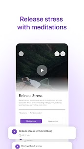 Meditopia 3
