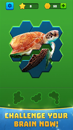 Hex Block Jigsaw Screen 3