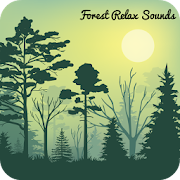Forest Nature Sounds