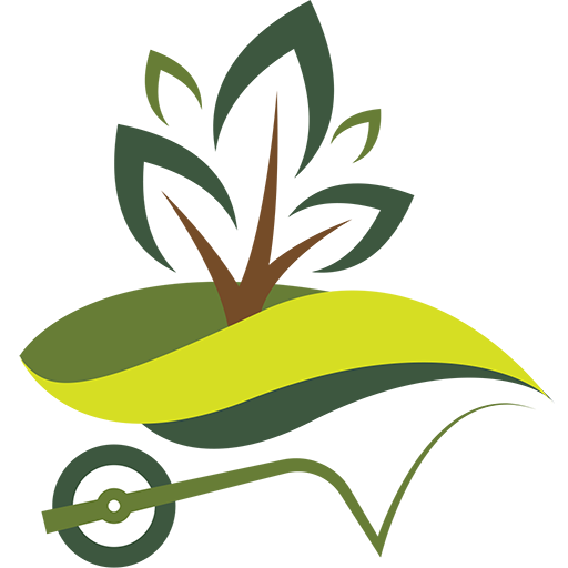 مشاتل logo