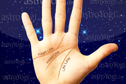 free palm reading app best