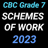 Grade 7 schemes of work 2023