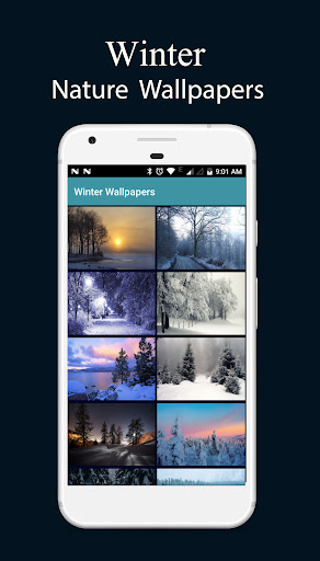 Android application 8000 Nature Wallpapers 2024 screenshort