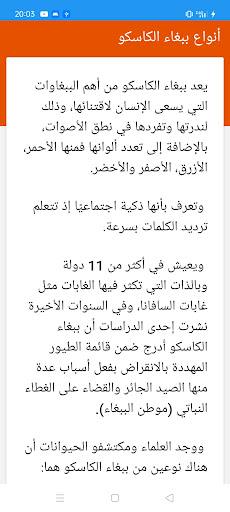 ببغاء Screen 2