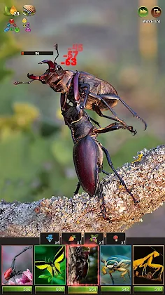 Insects Puzzles - Screenshot 3