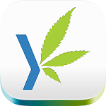 Cover Image of Download Duby - Explore Cannabis  APK