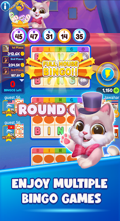 Game screenshot Bingo Online Zingplay apk download