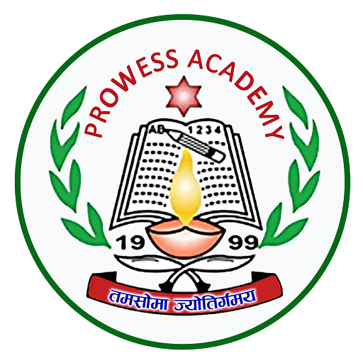 Prowess Academy logo