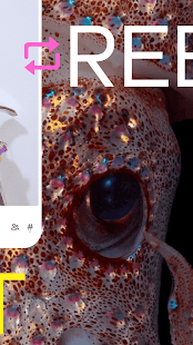 Tumblr—Fandom, Art, Chaos Bildschirmfoto