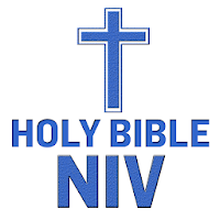 NIV Bible (International)