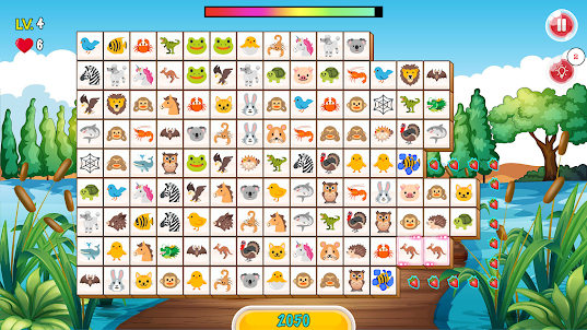 Animals Onet Connect