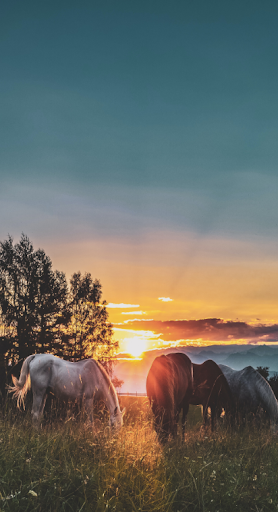 Full HD Background 2022  200K