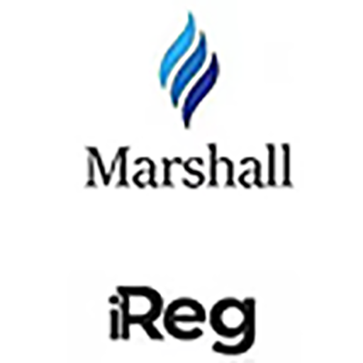 Marshall iReg 1.0 Icon