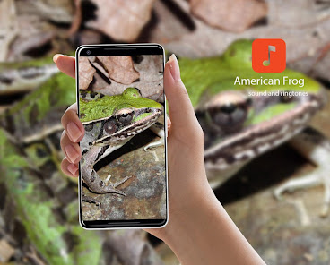 American Frog Sounds 1.0.4 APK + Mod (Unlimited money) untuk android