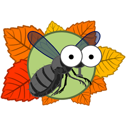 Autumn Fly