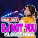 Dj Not You Slow Remix Viral