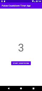 Pulse Countdown Timer App