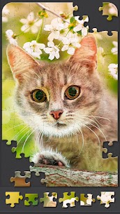 Jigsaw Puzzles for Adults APK MOD (Unlimited Coins, Hint) 5