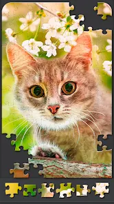 Jigsaw Puzzles for Adults 5