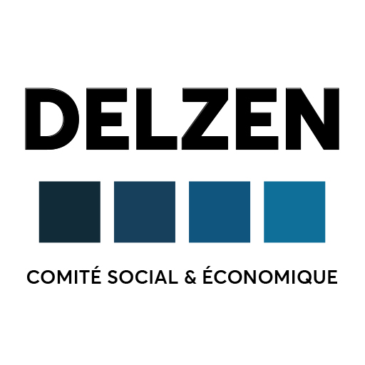 CSE Delzen logo