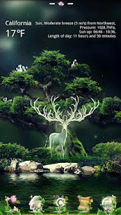 Forest GO LauncherEX Theme For PC installation