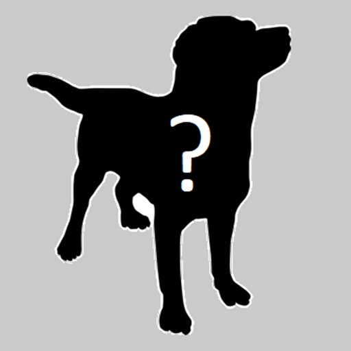 Dog Camera 2 Download on Windows