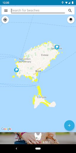Android application Jellyfish reports and Ibiza be screenshort