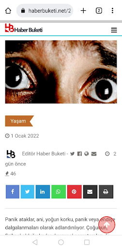Haber Buketi Screen 2