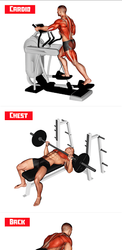 Gym Workout Training Diet Plan Screen 3