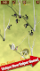screenshot of Last Arrows : Sniping Archer