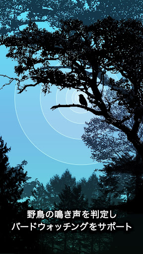 Android application BIRD RADAR screenshort