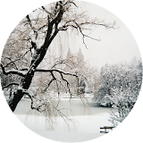 New York City Snow Wallpaper icon