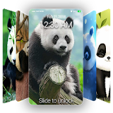 Cute Panda Wallpaper & Lock Screen QHD icon