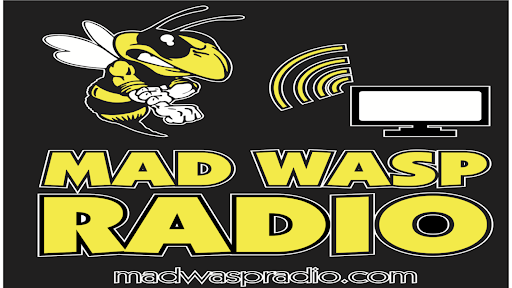 Android application Mad Wasp Radio screenshort