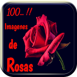 100 Imágenes de Rosas Gratis icon