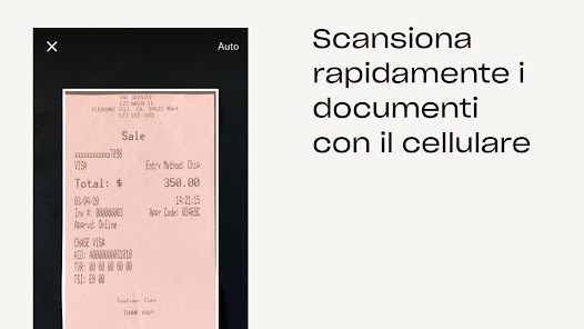 Immagine screenshot