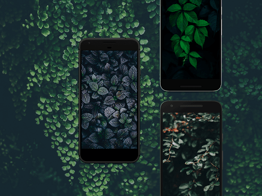 Minimalistic Nature 4K Wallpapers