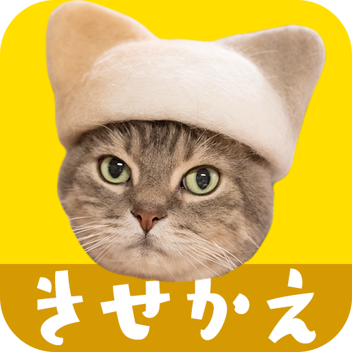 オシャレ猫の壁紙 猫の 抜け毛帽子 Google Play のアプリ