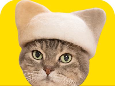 √画像をダウンロード 猫 ���紙 おしゃれ 307365-猫 壁紙 おしゃれ イラスト