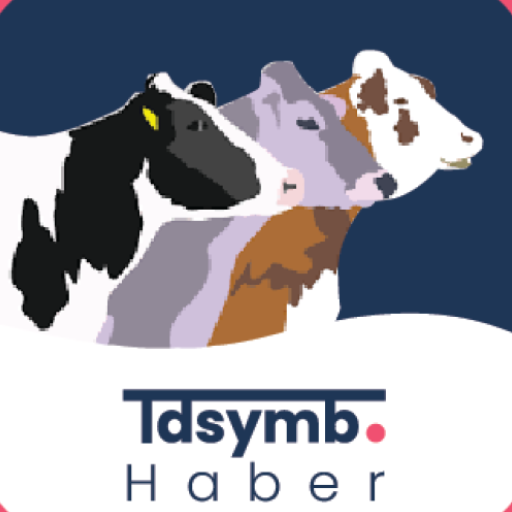 TDSYMB Haber logo