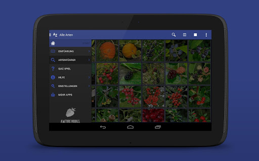 Früchte bestimmen 2 PRO
